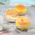 Take Away Disposable Plastic Food Container with lid